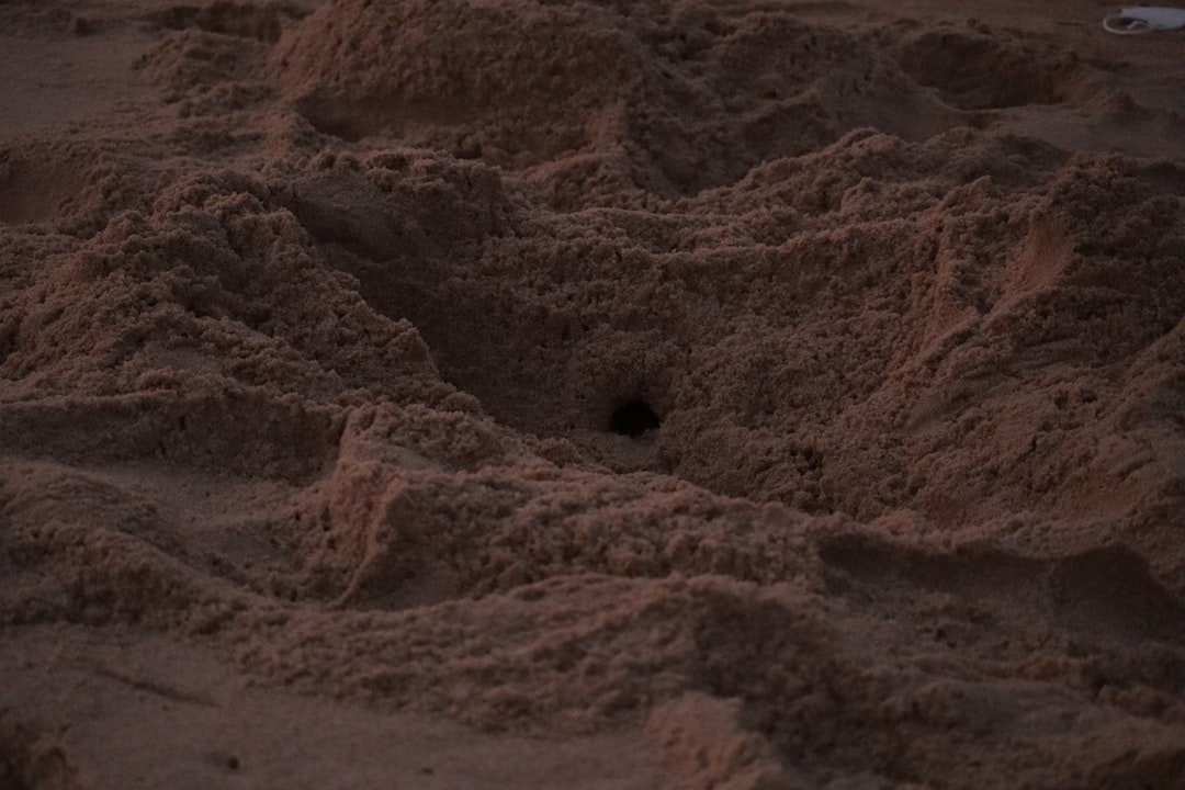 Mastering a Game About Digging a Hole Mole: Strategy Guide