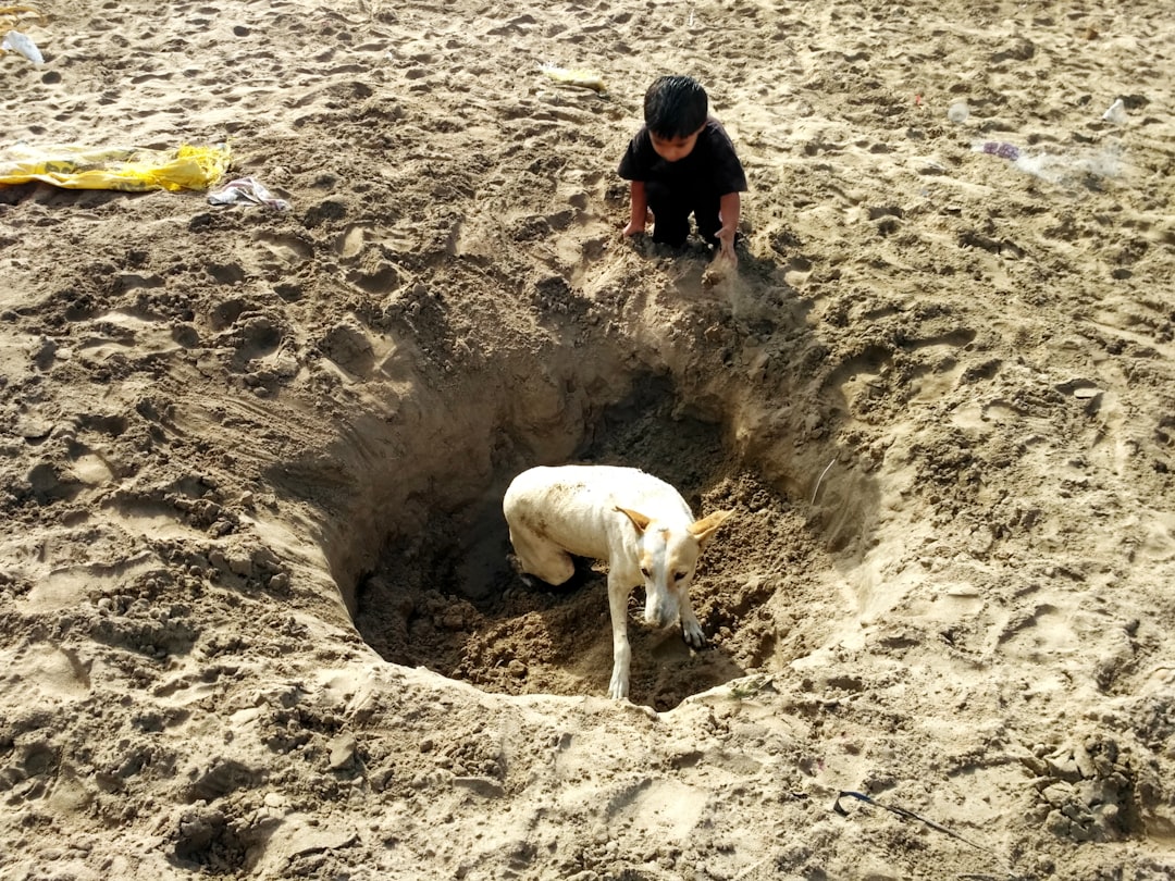 How To Beat A Game About Digging A Hole